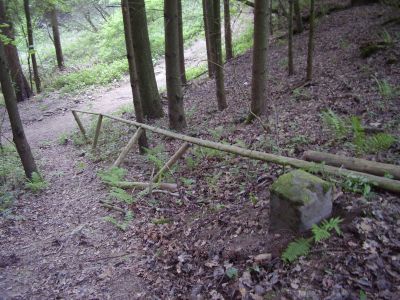 6b-Grieswald-Obererweg-Schatzmann_4_400